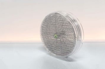 Ventola con griglia antipioggia e retina <br> <strong>Mod.107R</strong> -Ø mm 160 <br> <strong>Mod.108R</strong> -Ø mm 200 Ventola con griglia antipioggia e retina <br> <strong>Mod.107R</strong> -Ø mm 160 <br> <strong>Mod.108R</strong> -Ø mm 200